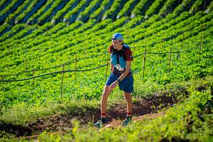 BIB: 
                            <button type="button" onclick="openModal(19160415)" class="btn btn-primary btn-sm float-right btn-popup" data-toggle="modal" data-target=".modal-high-quality">
                        <i class="fas fa-shopping-cart"></i> Add to Cart
                    </button>
                                            <button type="button" onclick="isThisMe(19160415, true)" class="btn btn-success btn-sm float-right btn-popup btn-isme hidden" data-toggle="tooltip" data-placement="bottom" title="นี่คือรูปของคุณใช่ไหม คลิกที่นี่เพื่อเอาเข้าอัลบั้ม">
                        <i class="fas fa-plus"></i> Add to album
                    </button>
                    <button type="button" onclick="isThisMe(19160415, false)" class="btn btn-warning btn-sm float-right btn-popup btn-isnotme hidden">
                        <i class="fas fa-ban"></i> Remove from album
                    </button>